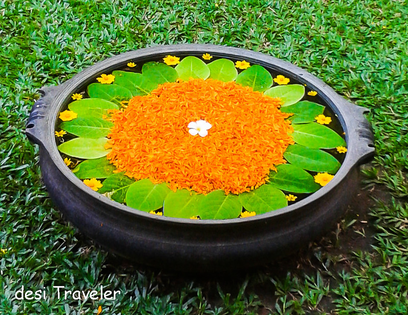 Varpu with marigold flower petals 