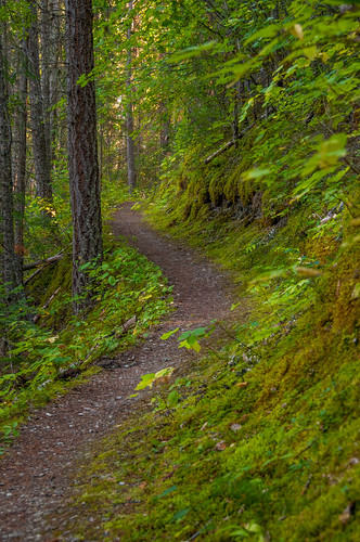 canada mountains hiking britishcolumbia rockymountains radiumhotsprings kootenaynationalpark cobblake