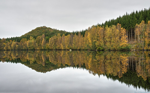 autumn reflection fall water forest river landscape nissan 28mm hills mirrorimage hdr autumncolour 3exposurehdr yngeredsforsen tomared