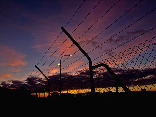 newzealand sunrise fence dawn airport auckland barbedwire