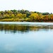 Fall across the Edmonton River Valley