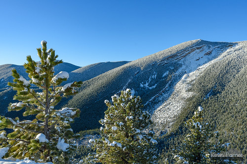 april snow snowy spring cold snowfall clear sunny blue sky nikond750 tamron2470mmf28 bighornmountains wyoming early morning white bighornnationalforest trees sandturnoverlook scenic view vista dayton sunshine