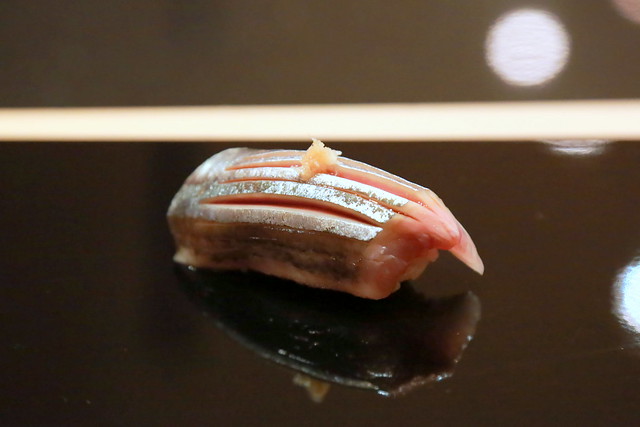 Sanma nigiri sushi