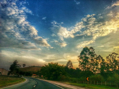 road sky cloud tree hdr