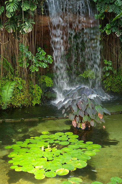 夢の島熱帯植物園