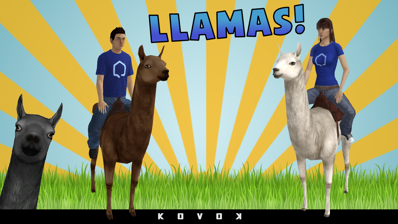 Llamas_blog_1280x720