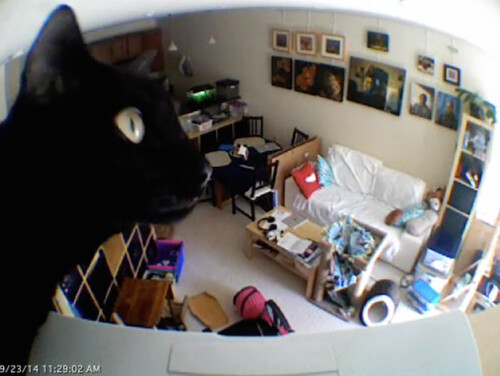 Martha on Webcam