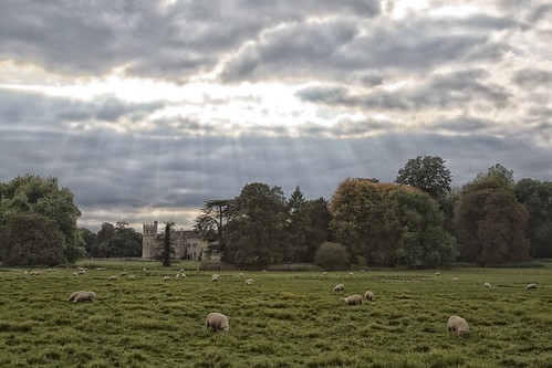 england sun abbey field clouds canon photography sheep 5d wiltshire talbot lacock lacockabbey williamhenryfoxtalbot ebalch