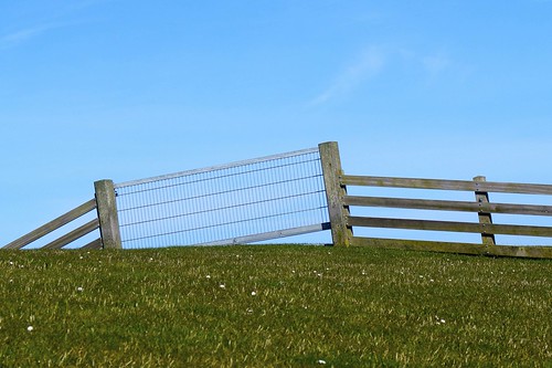 Fence