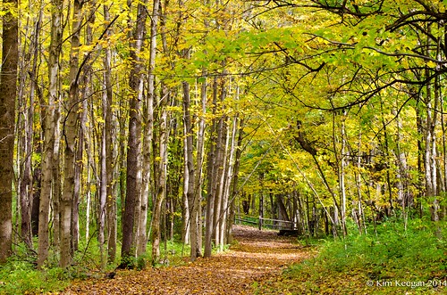 autumn ohio fall nature nikon october colorful hike trail 2014 sugarcreekmetropark nikond5100 kkfrombb