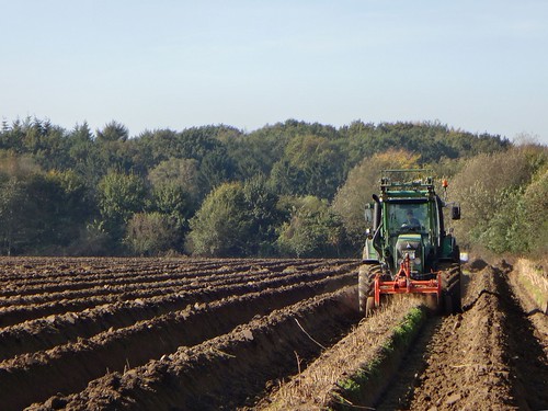 tractor landscape asparagus louisxiv blinkagain glabbachhinsbecknettetalamniederrhiengermany