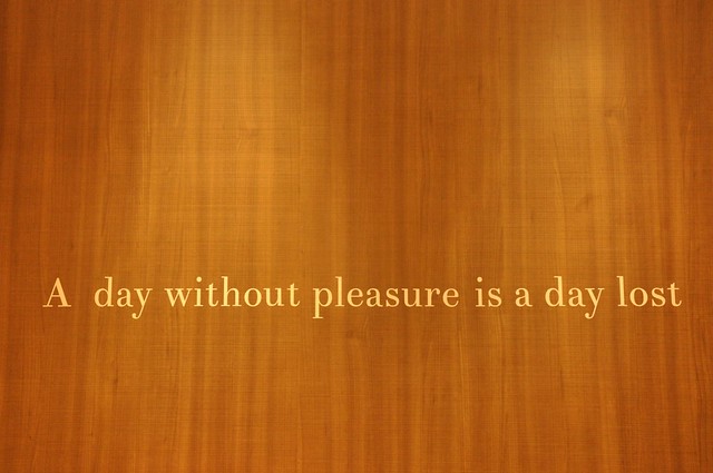 "A day without pleasure is a day lost."