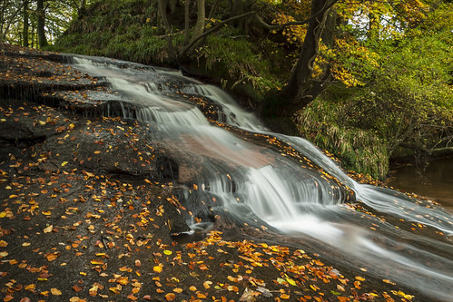 leaves falls waterfalls kirklinton