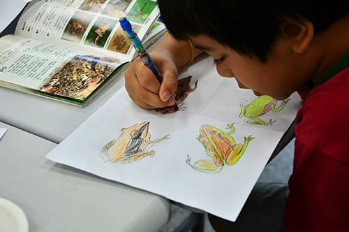 透過孩子的雙眼，楊懿如學習用不一樣的角度來看待蛙類。