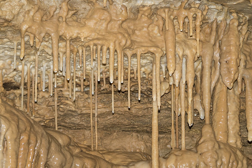 lyoncollege speleology caves caving biology ozarkundergourndlaboratory protem missouri tumblingcreekcave