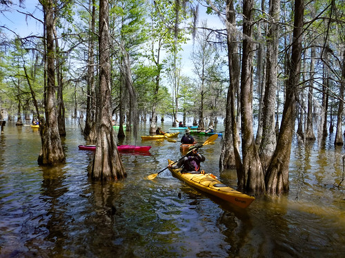 corsadahistorical cross kayaking lakemarion paddling southcarolina tricountybluewaypaddlers unitedstates us