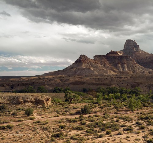 mountains pine clouds utah desert stormy dirtroad swell reddirt mexicanmountain sanrafelswell centralutah buckhornpaneldrive