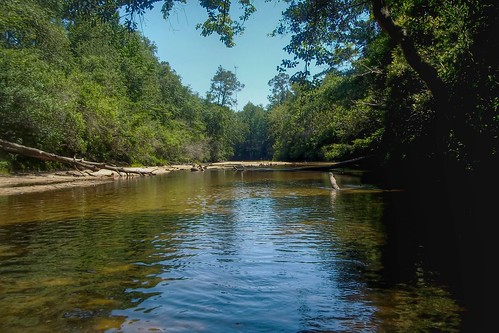 trees nature forest river woods alabama waterscape baldwincounty robertsdale ilobsterit