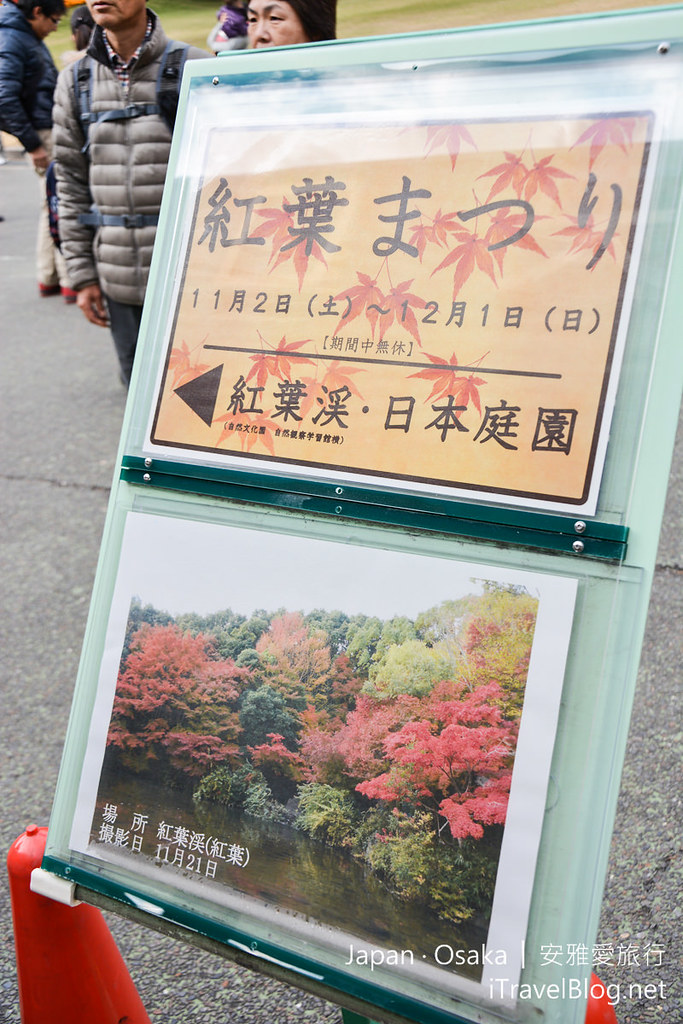 大阪赏枫景点 万博纪念公园 上 搭乘单轨电车前往快速道路旁的赏枫秘境 爱旅博客
