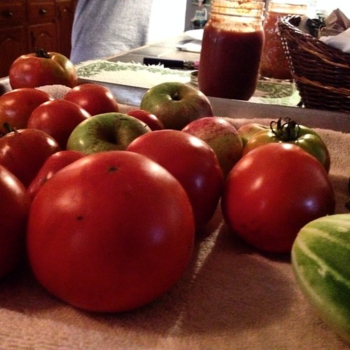 tomatoes apples fambly homemadeketchup cukes uploaded:by=flickstagram littlebitlatergram instagram:photo=769103456458499750206508832 grossokra