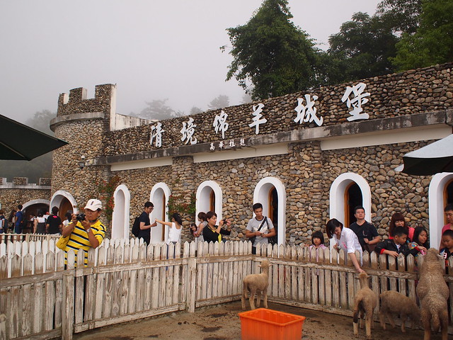 Cingjing Farm