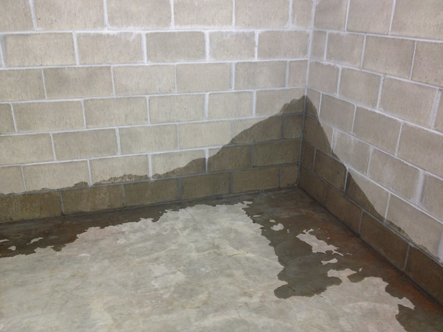 Waterproof your basement without spending a fortune!