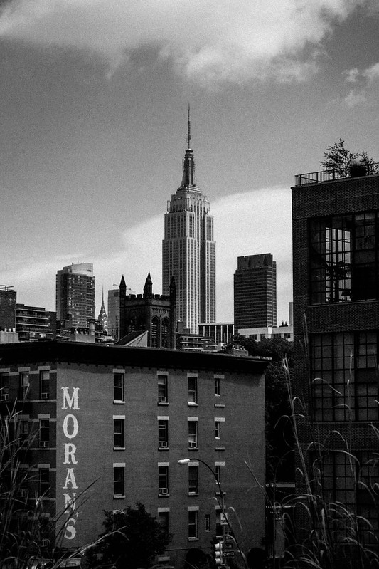 Empire State from the Highline