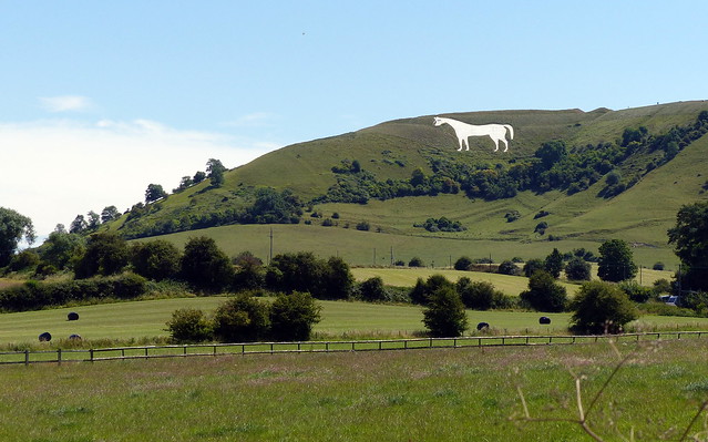 Westbury White Horse from the outlook
