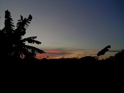 light sunset naturaleza luz southamerica nature beautiful evening suriname tierno sranan okrodam wegnaarzee