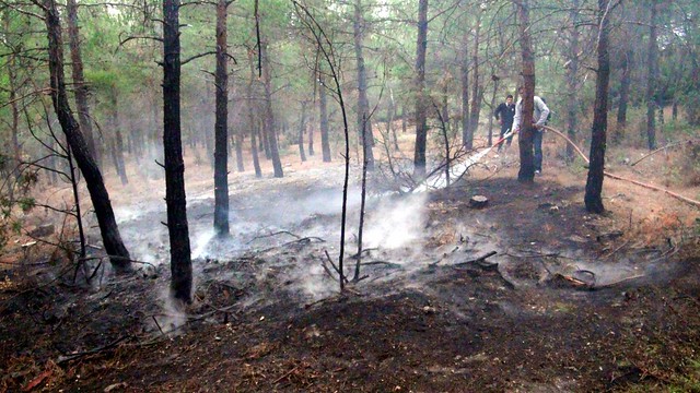 Kent Ormanı Yangın 3