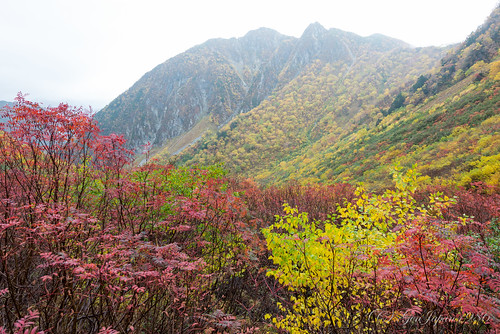 2014 旅行 松本市 登山 紅葉 長野県 風景 日本 japan nagano landscape travel autumn 秋 nikond600 distagont225 zf2 mountain carlzeiss