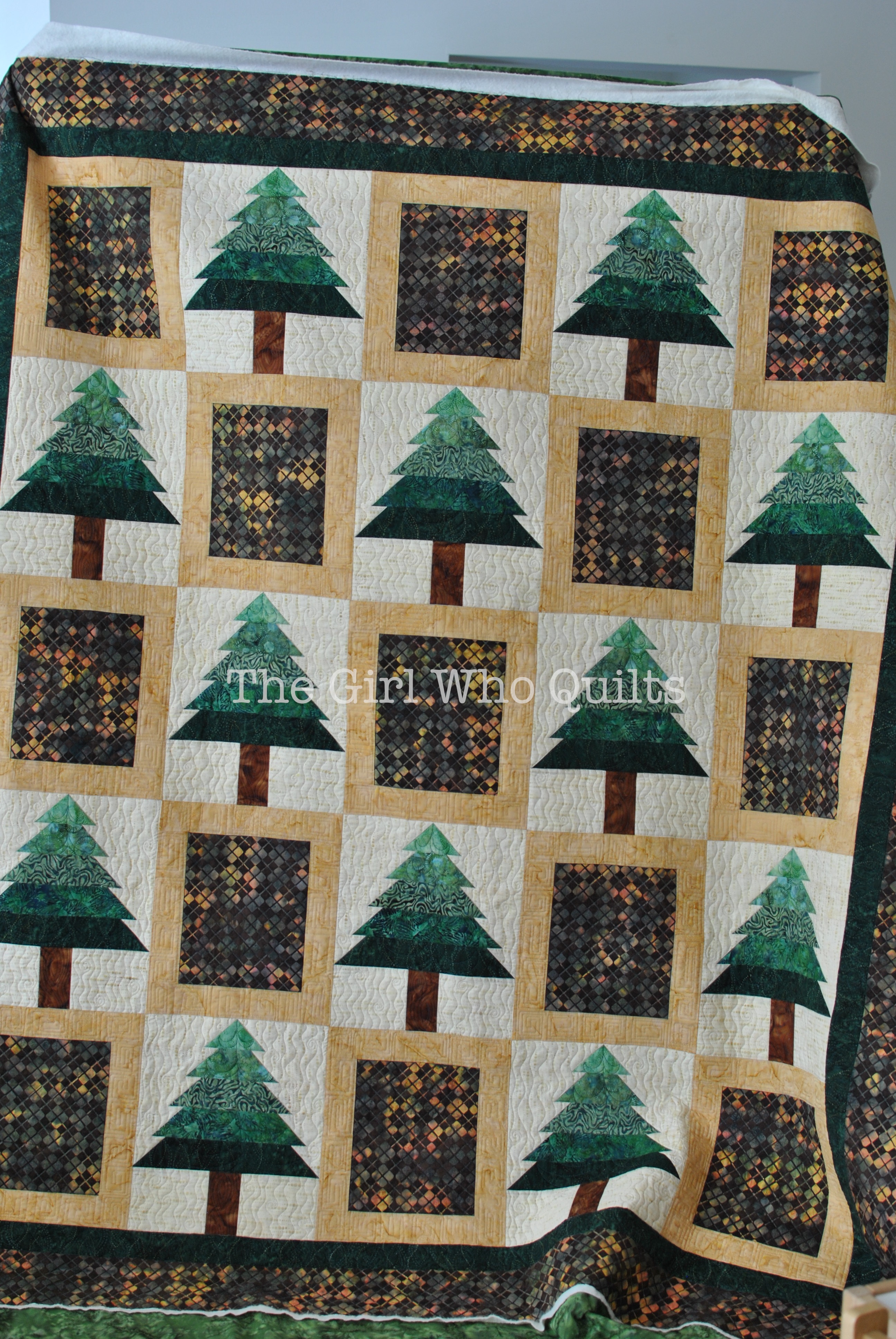 Upstate Quilt - Long Arm Quilted for Sew Many Creations
