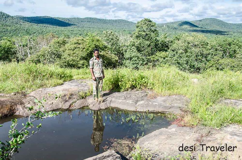 Forest guard at watering hole Bandipur 