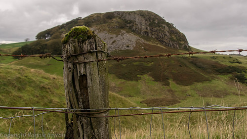 art fence landscape photography scotland moss rust post unitedkingdom barbedwire ayrshire darvel postimpressionism loudonhill sonydt18250mmf3563 sonyslta55v ronniebarron rcb4j