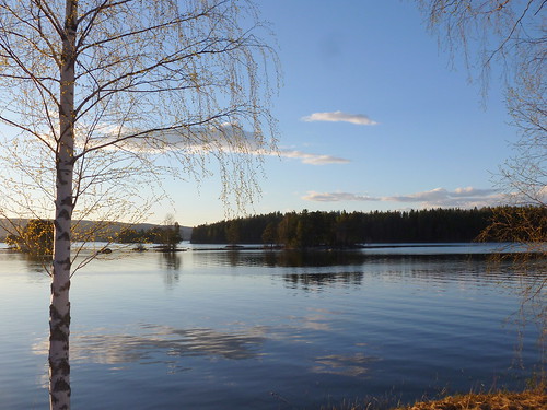 lake water landscape spring sweden outdoor may serene birch waterscape barken smedjebacken