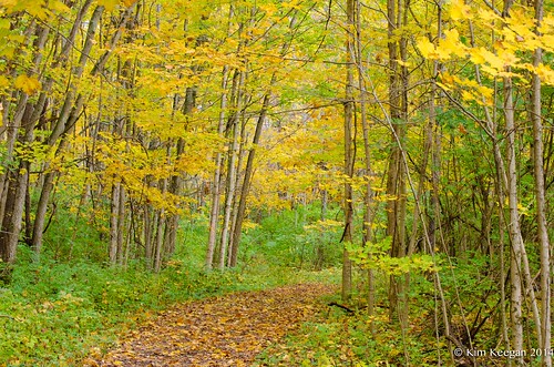 autumn ohio fall nature nikon october colorful hike trail 2014 sugarcreekmetropark nikond5100 kkfrombb