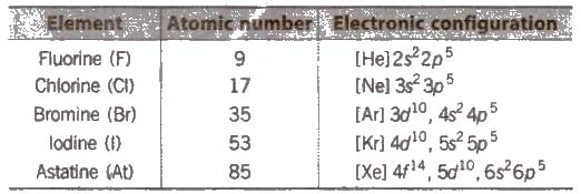 CBSE Class 11 Chemistry Notes The P-Block Elements