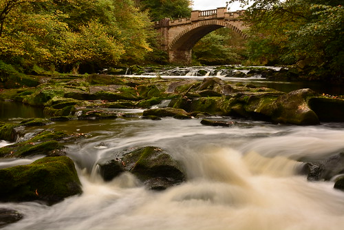 park bridge autumn nature water stone river landscape scotland nikon almond calderwood almondell eastcalder d7100