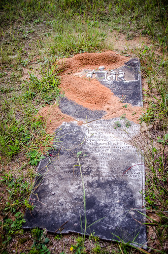 cemetery us unitedstates southcarolina whitmire ebenezermethodistchurch maybinton