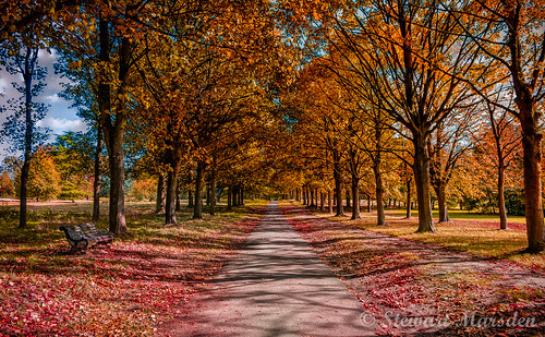 park autumn path watford cassiobury