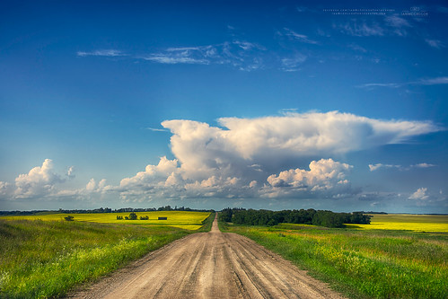 road summer sky canada clouds rural landscape ian nikon country prairie saskatchewan d800 mcgregor canadianphotographer rokeby ianmcgregorphotographycom