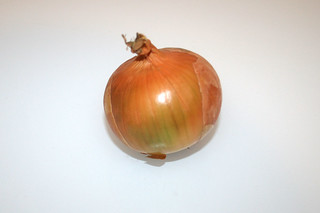 16 - Zutat Zwiebel / Ingredient onion