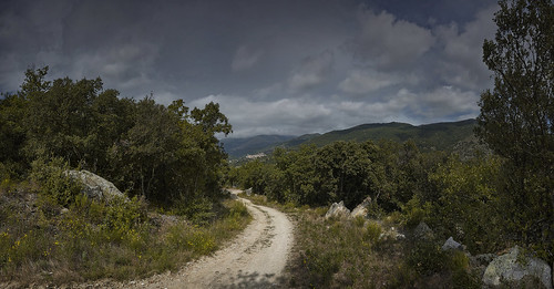 panorama forest canon walking outdoors hiking trail bos piste walkingtrack hikingtrail languedocroussillon pyrénéesorientales mosset canoneos5dmarkii marijkemooyphotography valleyofthecastellane wandelrouteindebergen wnadelroute