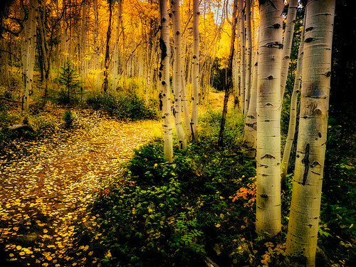 autumn usa mountain fall colorado unitedstates hiking landscapephotography bestofcolorado