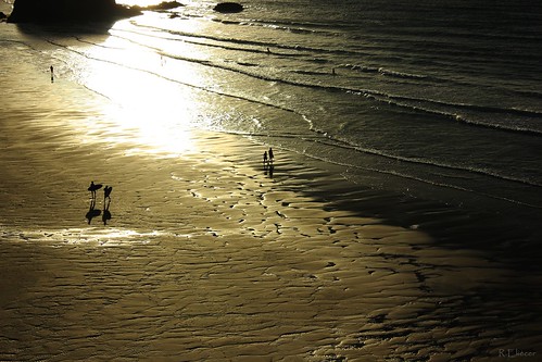 sunset beach atardecer surf playa