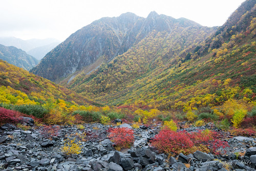 2014 旅行 松本市 登山 紅葉 長野県 風景 日本 travel japan nagano nikond600 zf2 distagont225 秋 autumn landscape mountain carlzeiss