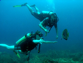 <img src="padi-diving-sawadee-tioman-island-malaysia.jpg" alt="PADI diving, Sawadee, Tioman Island, Malaysia" />