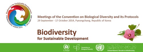 聯合國生物多樣性大會在韓國開幕。（來源：United Nations Decade on Biodiversity）