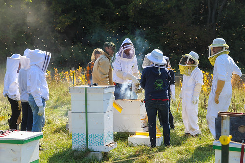 students dartmouth sustainability organicfarm graduatestudents beekeepingassociation