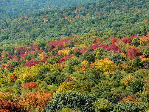 autumn fall colors leaves view foliage catskills